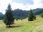 Tatry